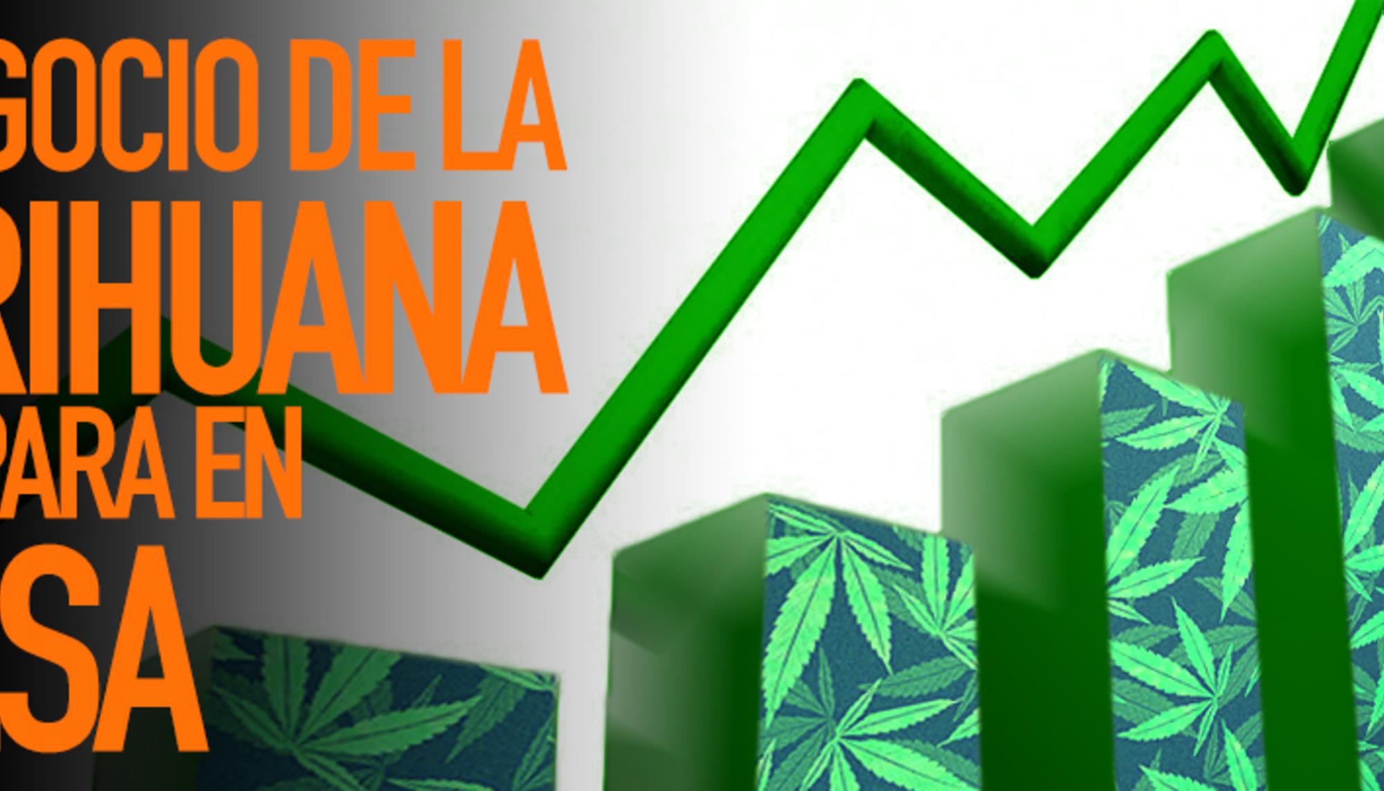 cannabis bolsa